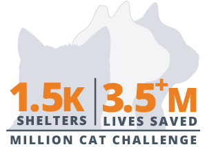 The Million Cat Challenge included 1.5 thousand shelters that saved more than 3.5 million feline lives.