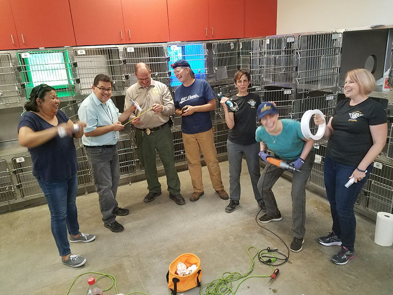 The portal installation team in front of a bank of cat cages, some holding power tools and smiling. Photo from September 2017