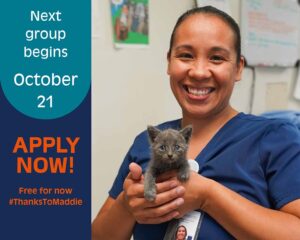 Photo of smiling shelter worker in navy blue scrubs holding cute gray kitten