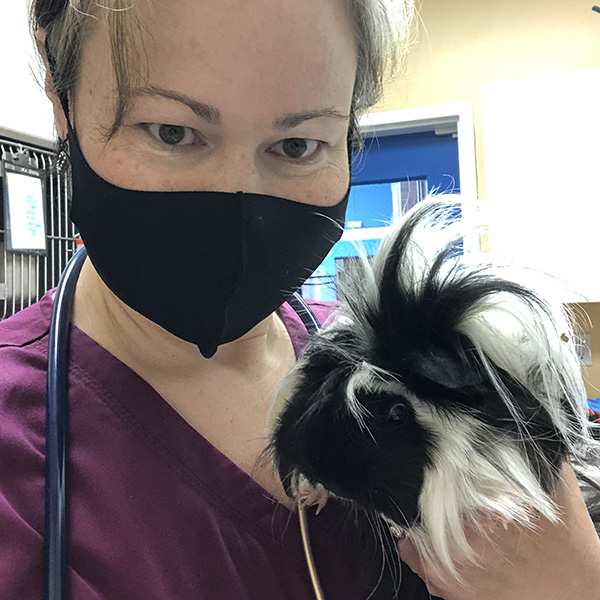 Dr. Bennet in a black surgical mask holding a black-and-white rabbit with long fur.